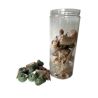 Coquillages Chicoreus ramosus
