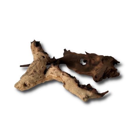 Raçine Mopanie - Savanna au Kg 4,90 €