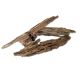 Raçine Dragon wood au KG 17,25 €