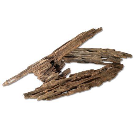 Raçine Dragon wood au KG 17,25 €