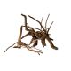 Raçine Nano Spider Wood par pièce  9,95 €