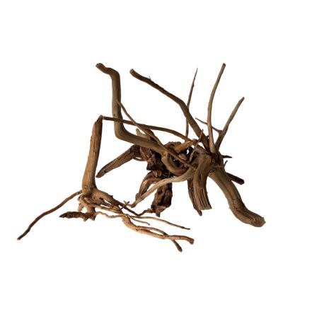 Raçine Nano Spider Wood par pièce  9,95 €