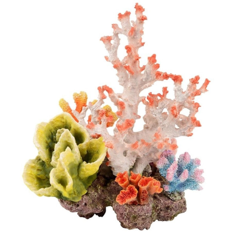 Amscan Guirlande Récif De Corail – Lot De 6 Décorations Tropicales Poissons Multicolores 2,1 M