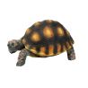 Boyu décoration PE213A Tortue