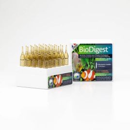 Prodibio BioDigest 12 ampoules