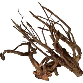 Raçine Talawa wood au Kg 21,21 €