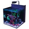 RedSea Max Nano G2 XL 50x60x50cm (125L) 
