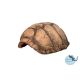 Ceramic Nature Grotte Tortue M 14x12x8cm