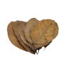 Nature products Jack leaves 20x