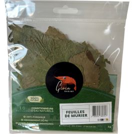 Feuilles de murier x 10 4,45 €