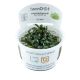 Tropica 1-2-Grow! Bucephalandra sp "needleleaf"