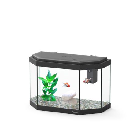 Aquatlantis aquarium Explorer Athens 40x20x26.5 cm