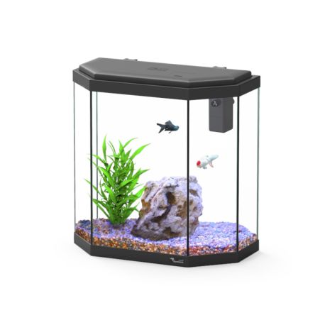Aquatlantis aquarium Explorer Rome 40x20x41 cm