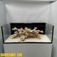 Reef Start 120