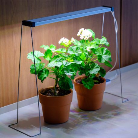 Twinstar extension gamme G hauteur 35cm 