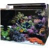 Blue Marine Reef 120