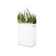 Oase aquarium Set ScaperLine 60