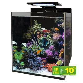 Blue marine Reef 90 aquarium