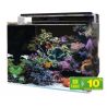 Blue Marine Reef 120