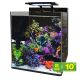 Blue marine Reef 60 395,95 €