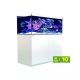 Red Sea aquarium Reefer™ 425 G2+ - Blanc