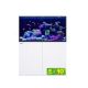 Reefer™ S 550 G2+ - Blanc