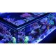 Red Sea aquarium Reefer™ S 1000 G2+ Deluxe - Noir (3 ReefLED 160S et 3 potences) + 10% en bon d'achats coraux,poissons