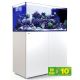 Reefer™ Peninsula 500 G2+