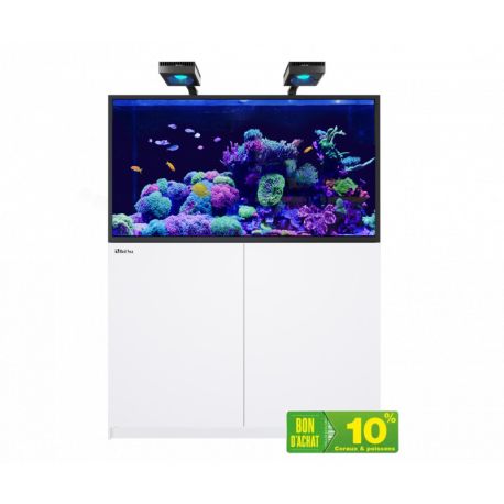 RedSea Reefer Max 250 G2+ Blanc