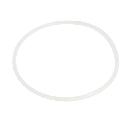 AquaMedic Joint pour boîtier de filtre 10" 3,5 x 82 mm