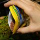 JBL PRONOVO BETTA INSECT STICK S 