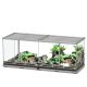 Aquatlantis Terrarium