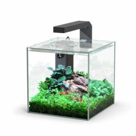 Aquatlantis aquarium Kubus 5L sans équipement