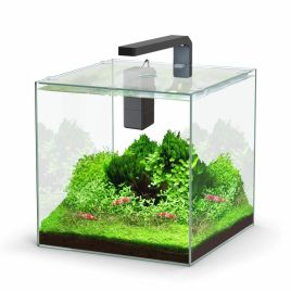 Aquatlantis aquarium Kubus 22L sans équipement