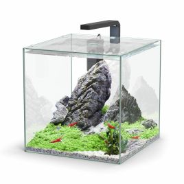 Aquatlantis aquarium Kubus 33L sans équipement