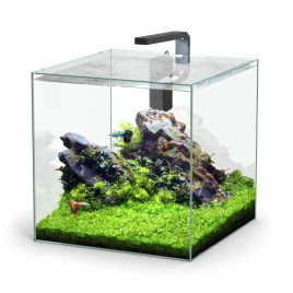 Aquatlantis aquarium Kubus 54L sans équipement