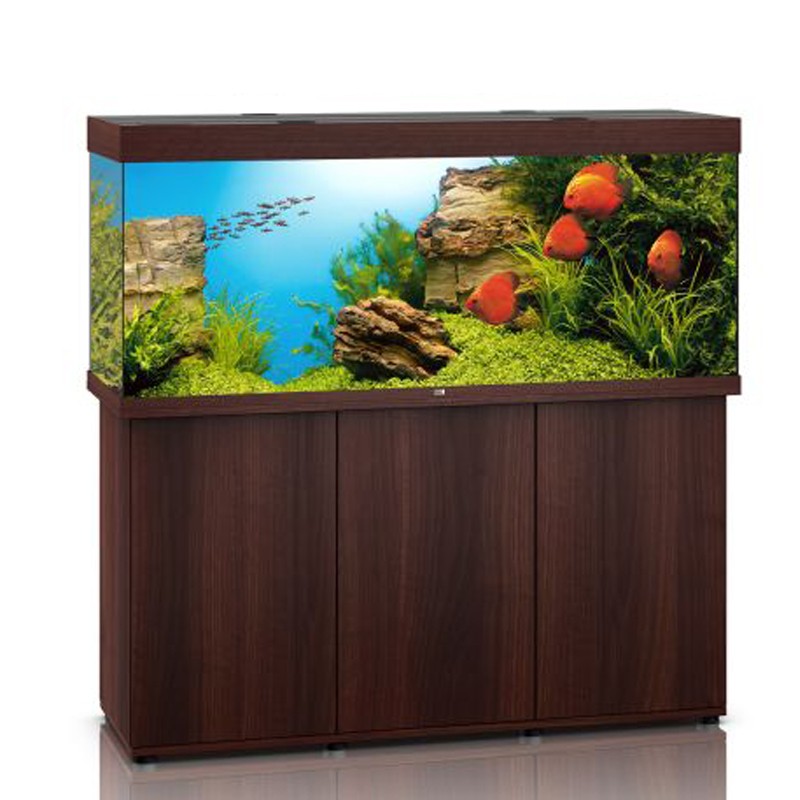 photo-aquarium