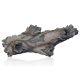 Aquatic Nature Forest n°24 49,95 €