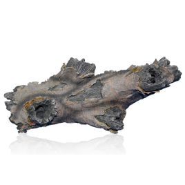 Aquatic Nature Forest n°24 49,95 €