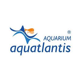 Aquatlantis kit de suspension easyled univeral 0,3mt