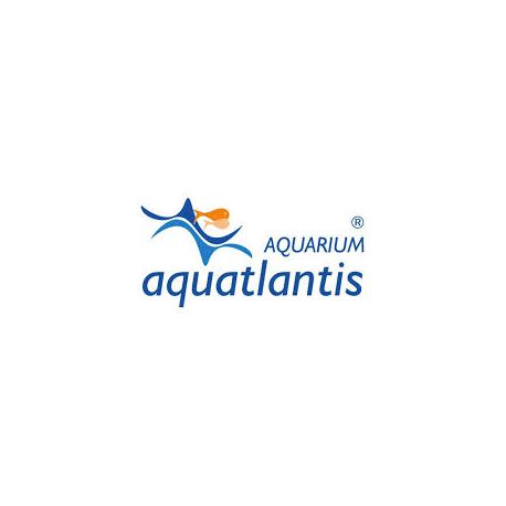 Aquatlantis kit de suspension easyled univeral 0,3mt