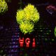 Euphyllia glabrescens Holy Grail WYSIWYG