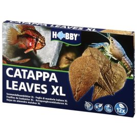 Hobby Nano Catappa Leaves XL - Feuilles de badamier x12