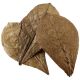 Hobby Nano Catappa Leaves XL - Feuilles de badamier x12