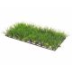 Hobby Plant Mat 1 25x12,5cm