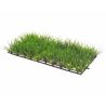 Hobby Plant Mat 1 25x12,5cm