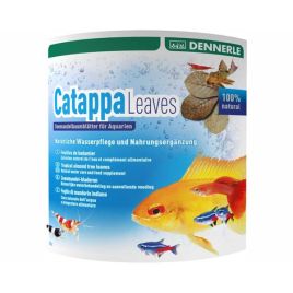 Dennerle feuilles de badamier (Cattapa Leaves)