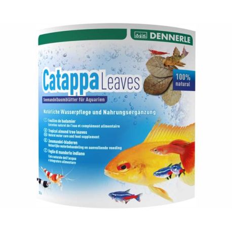 Dennerle feuilles de badamier (Cattapa Leaves)