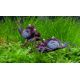 COUPLE CRABE VAMPIRE "Geosesarma bogorensis"