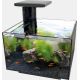 Superfish Qubiq 20